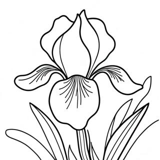 Fargeleggingsark med Irisblomst | Iris fargeleggingsside